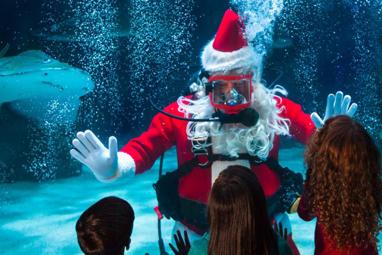 Cincinnati Scuba Santa