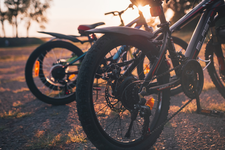 Family-Friendly Bike Trails - Cincinnati, OH - Cutler Real Estate